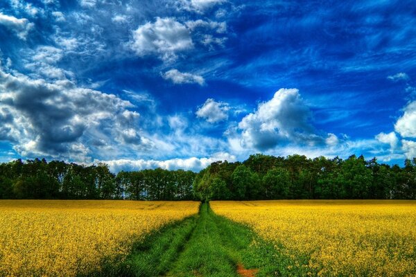 Не забувається природа сільських пейзажів