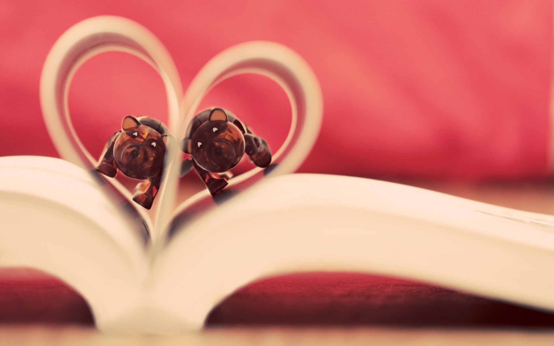 любов весілля квітка романтика троянда натюрморт пити серце