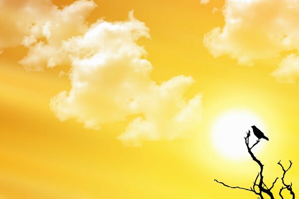 Заставка робочого столу Природа Захід Сонця