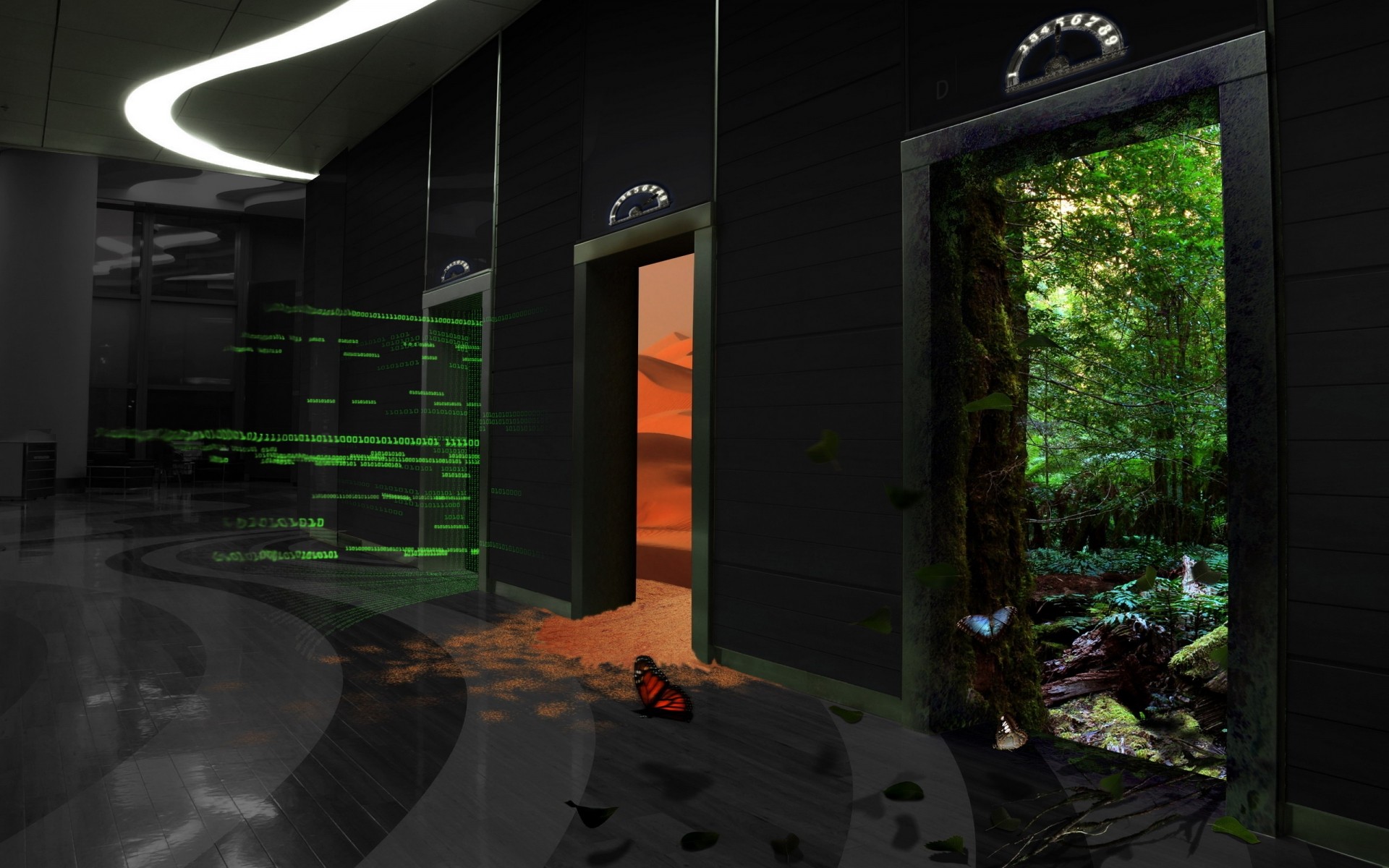 світло пейзаж будинок подорожі природа мистецтво техно метелик фон