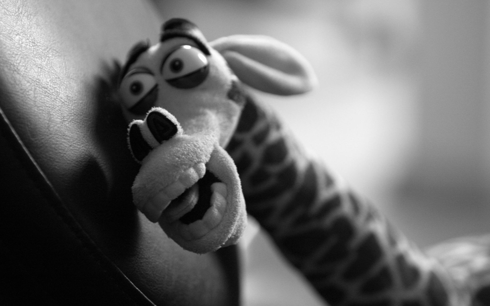 монохромний людина портрет дорослий один дівчина чорний і білий жінка ноги доф ню руки