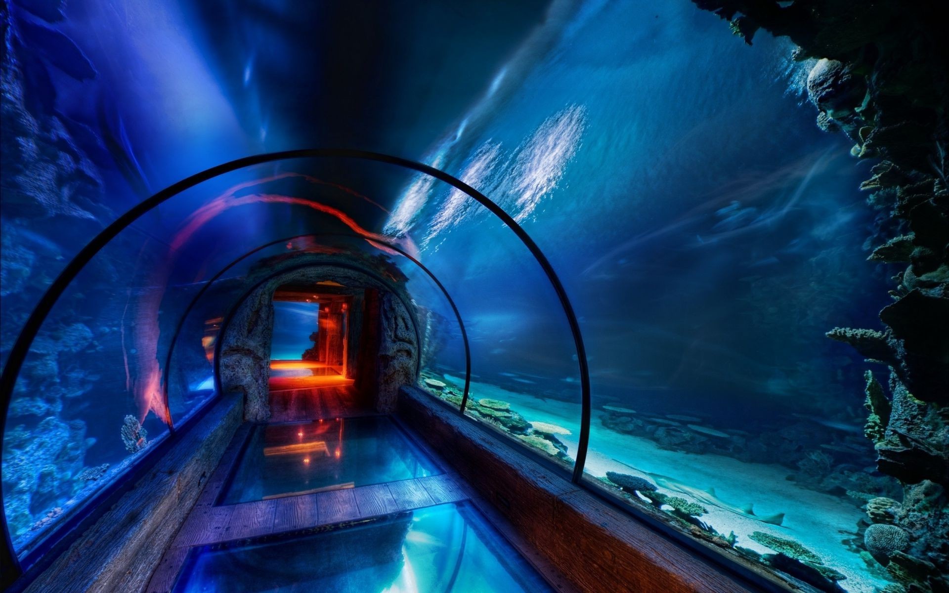 тунель світло розмитість подорожі транспортна система руху ввечері пробка