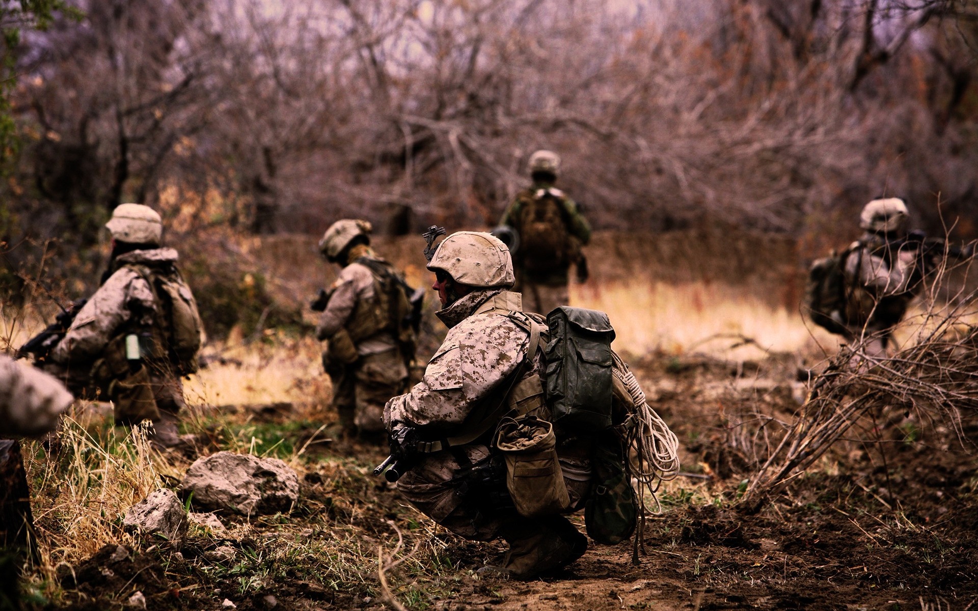 солдат армія військові війни бойовий зброя пістолет битва гвинтівка боєприпаси камуфляж дерево деревини дорослий мисливець людина солдати