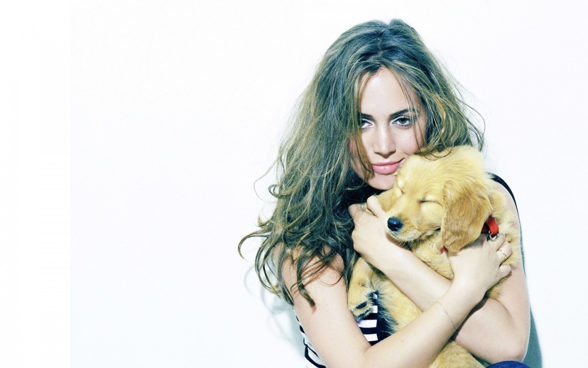 дівчина красиві молодий жінка портрет милі студія мода робочого столу модель досить волосся сексуальний приваблива ізольовані гламур кучерявий щеня актриса