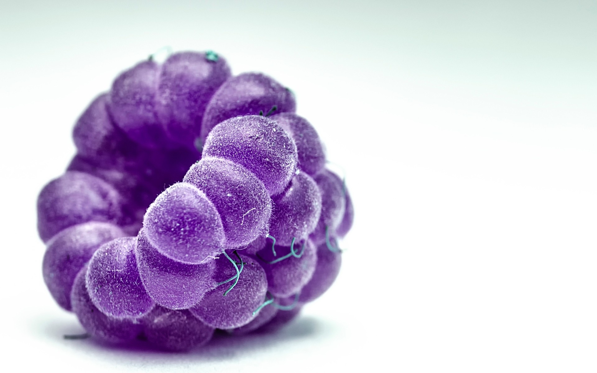 природа робочого столу крупним планом колір флора ізольовані малина макрос фрукти ягідка