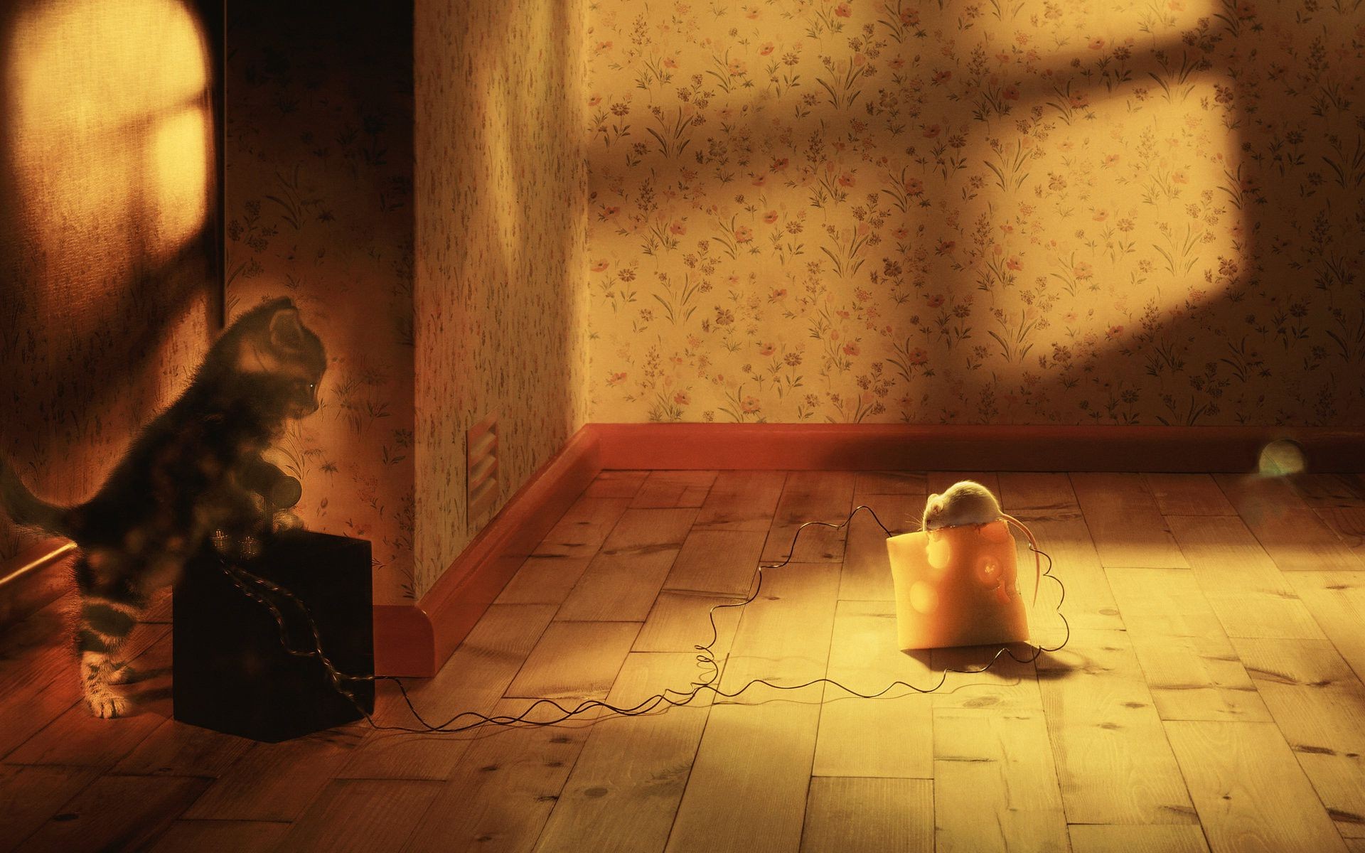 один в приміщенні номер дорослий світло дівчина портрет ню жінка носити стіни