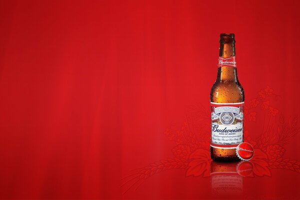 Пиво Budweiser на червоному стильному тлі