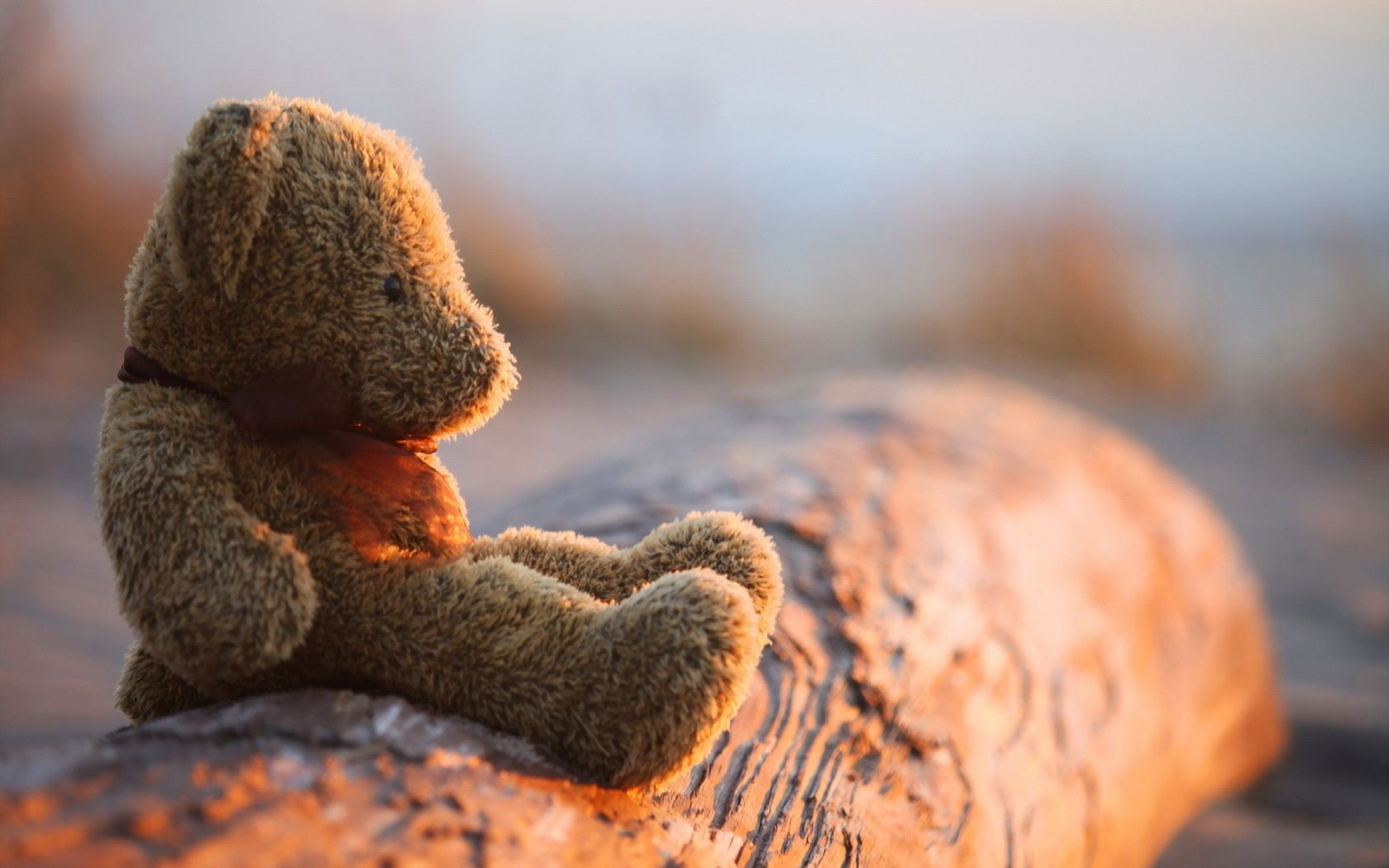 природа на відкритому повітрі їжа