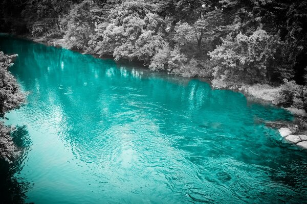 Відпочинок блакитна вода під водою