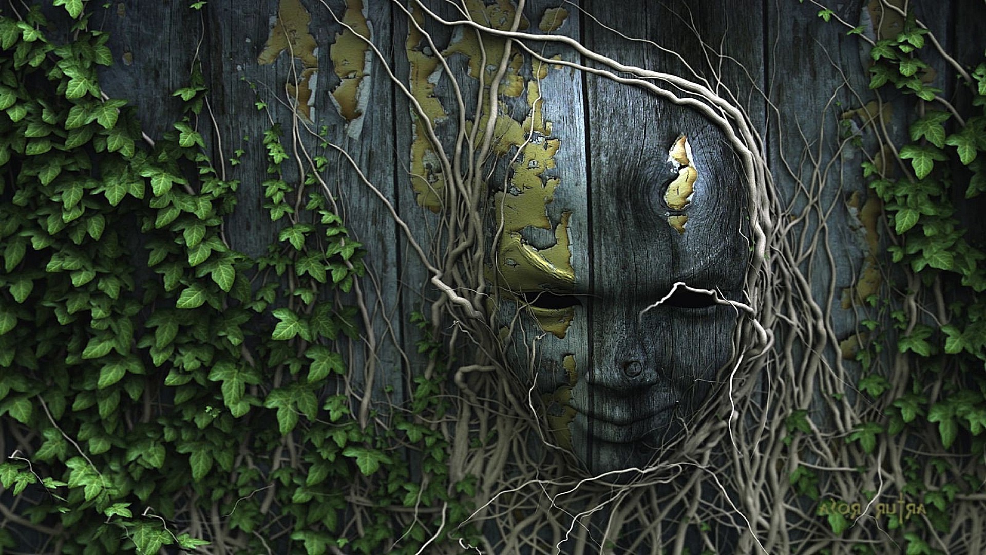 деревини дерево природа лист робочого столу старий