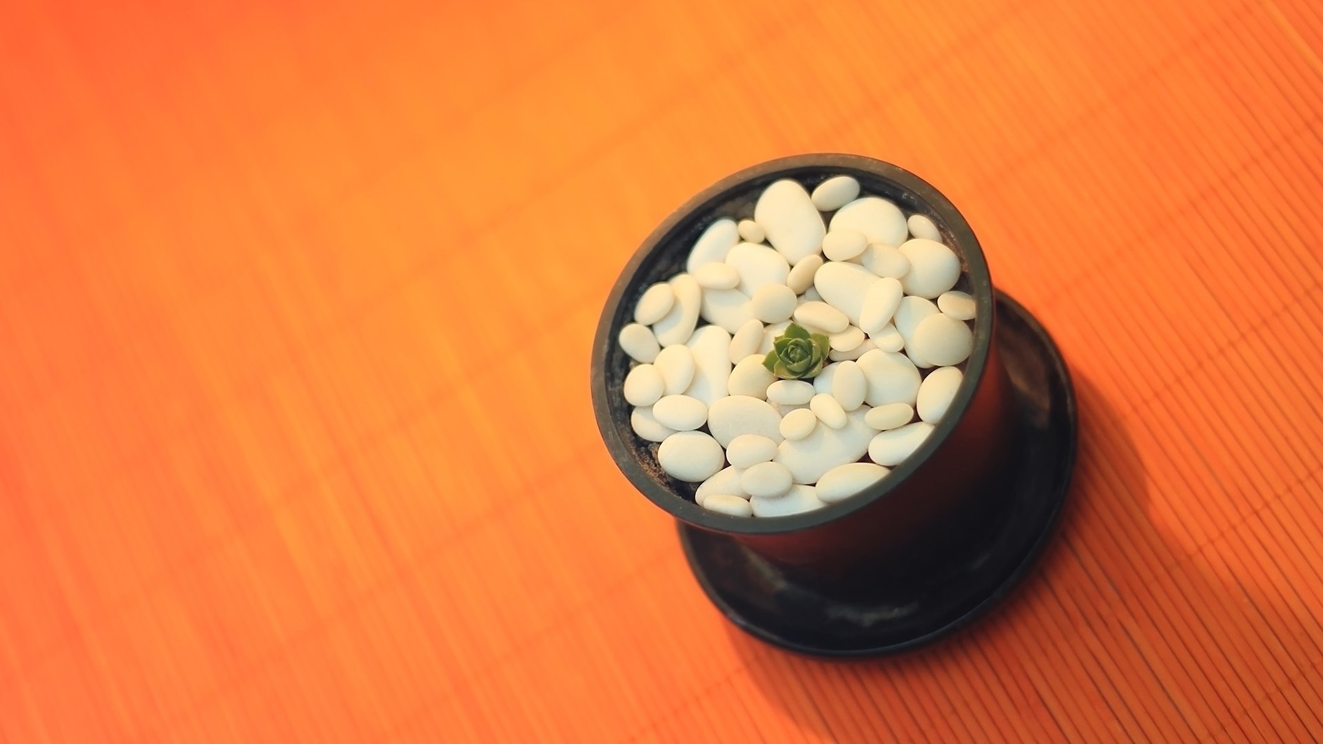 їжа медицина робочого столу здоров я чаша деревини натюрморт здоровий