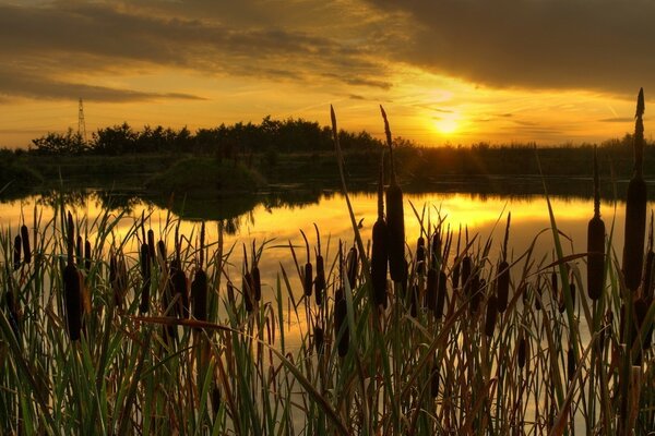 Красивий і соковитий захід на воді