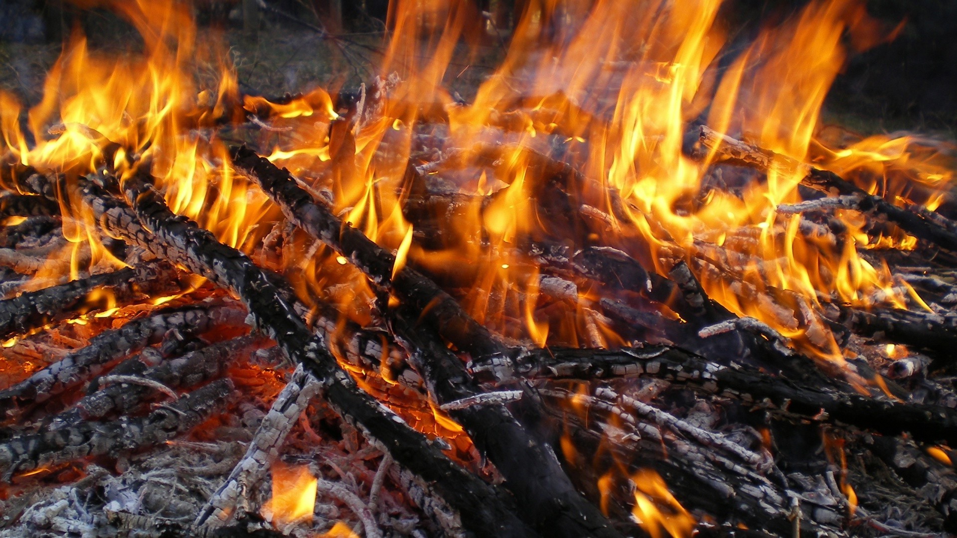 полум я багаття багаття тепло вугілля камін спалити вугілля дрова ясен гаряча інферно тепло дим блейз легкозаймисті запалити пожежа температура табір