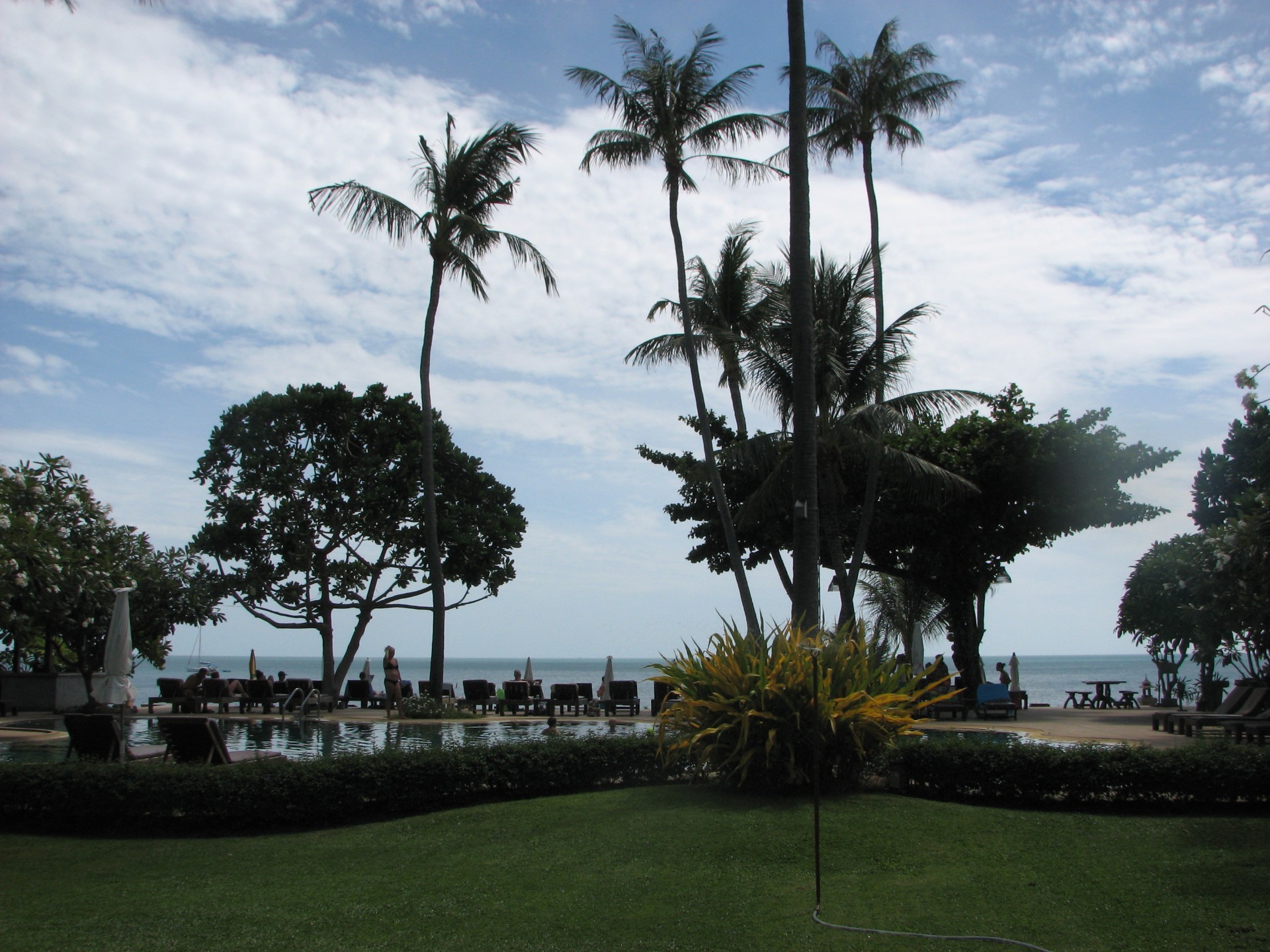 дерево долоні курорт відпочинок подорожі тропічний відпочинок готель відпустка води денне світло острів пляж туризм моря на відкритому повітрі небо розкішні парк