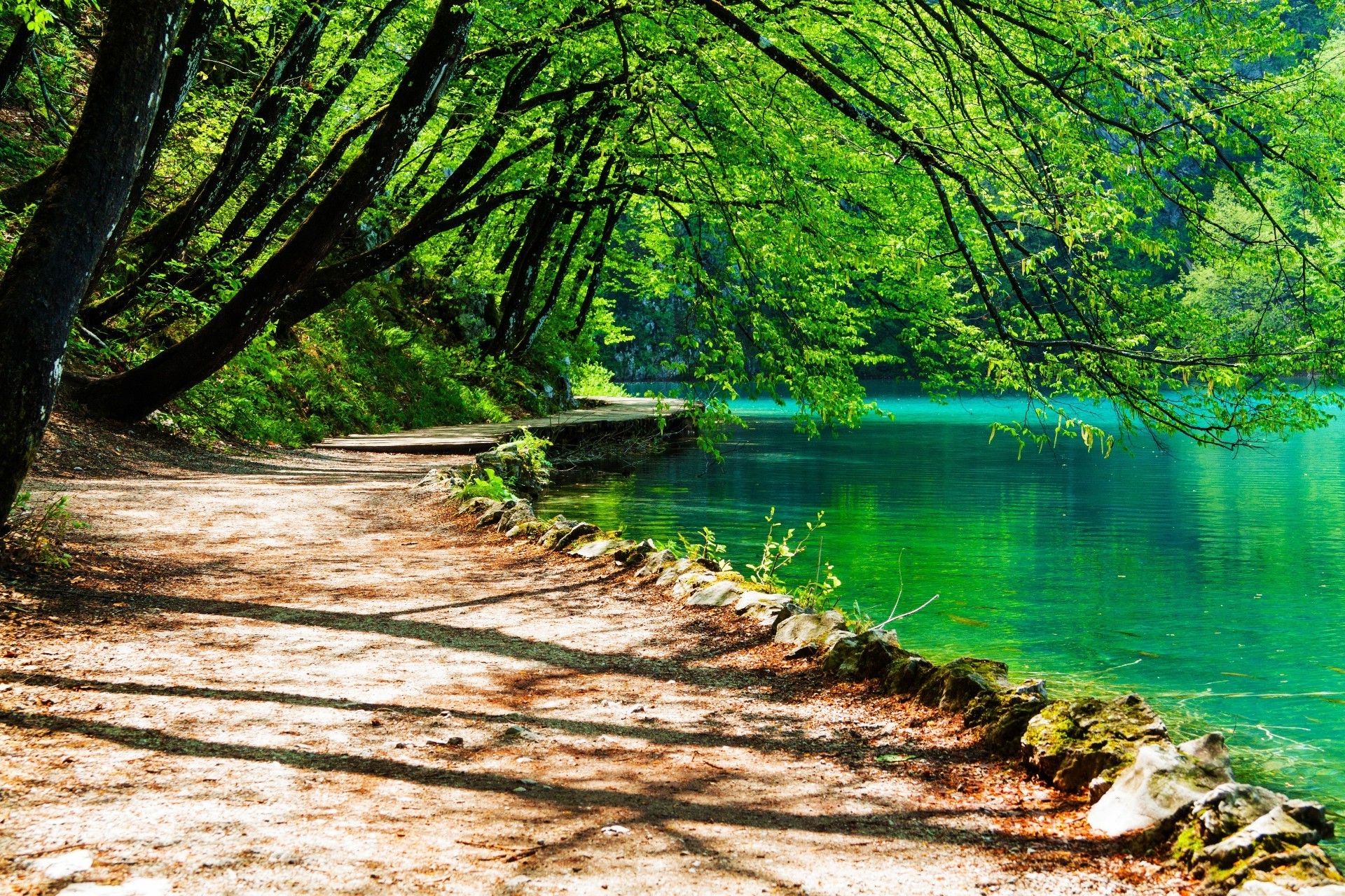 деревини природа води дерево пейзаж лист літо на відкритому повітрі мальовничий гарну погоду парк сезон подорожі пейзажі холоднокровність сонце пишні сцена